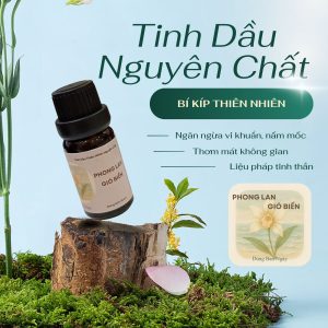 Alternative view of Tinh dầu Phong Lan Gió Biển