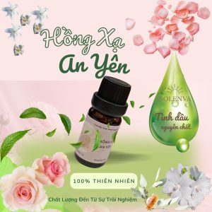 Tinh dầu Hồng Xạ An Yên