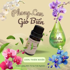 Tinh dầu Phong Lan Gió Biển