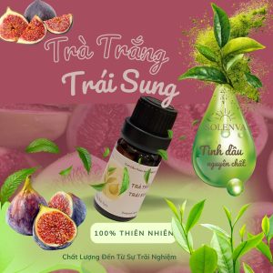 Tinh dầu Trà Trắng Trái Sung