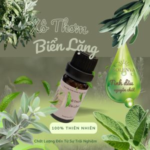 Tinh dầu Xô Thơm Biển Lặng