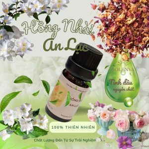 Tinh dầu Hồng Nhài An Lạc