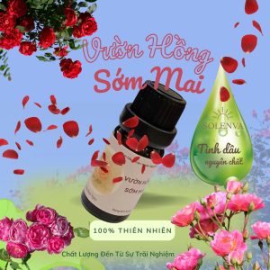 Tinh dầu Vườn Hồng Sớm Mai