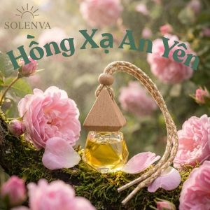 Tinh dầu treo Hồng Xạ An Yên